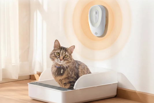 Pet Odor Eliminator for Litter Boxes