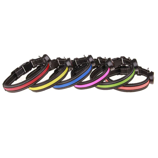 LED Dog Collar