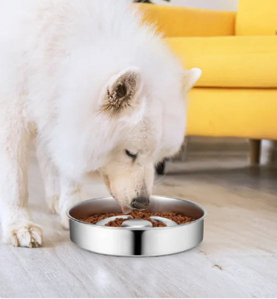 Dog Slow Feeder Bowl