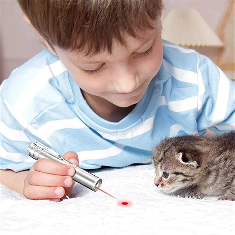 Rechargeable 3-in-1 Laser Cat Toy