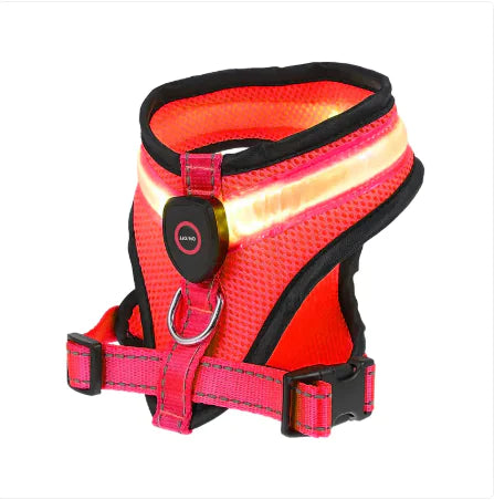 LED Dog Harness