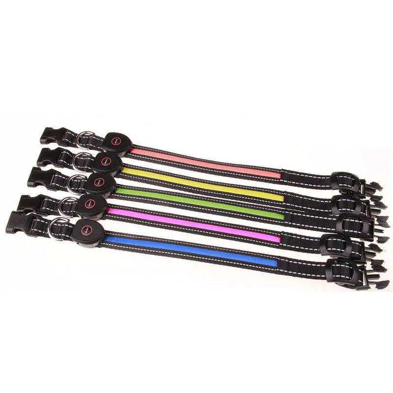 LED Dog Collar